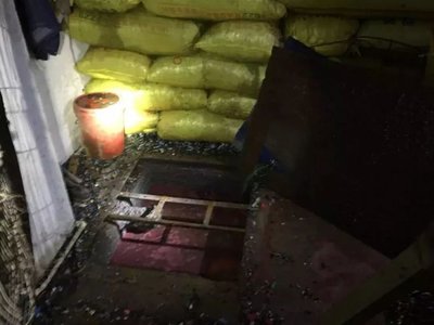 今年,央視兩度關(guān)注!佛山高新區(qū)這家企業(yè)憑什么?